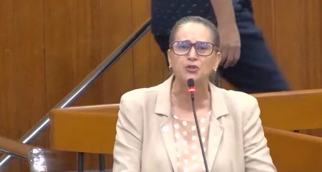 Vereadora diz que boicote promovido por “filhos do Hitler” contra petistas será judicializado