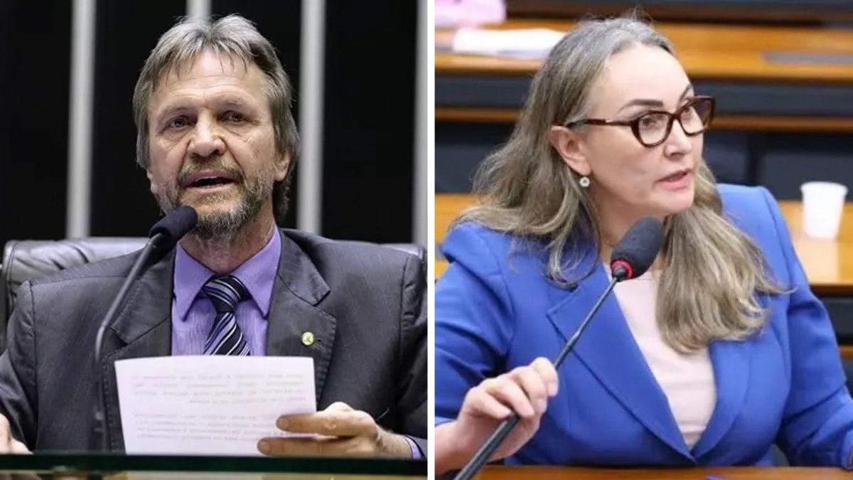 Oeste de SC reelege dois deputados federais nas Eleições 2026 e mantém representação na Câmara; veja quem são