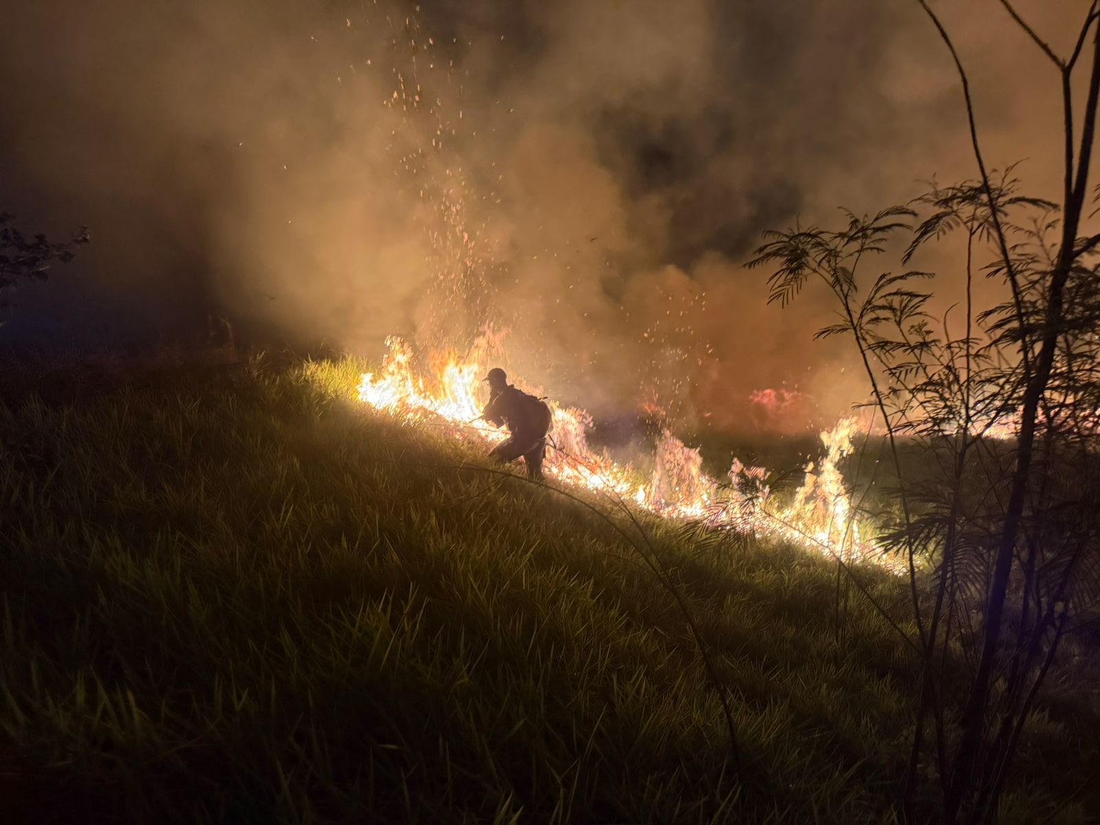 Incêndio de grandes proporções atinge área entre a Avenida República e a SP-294