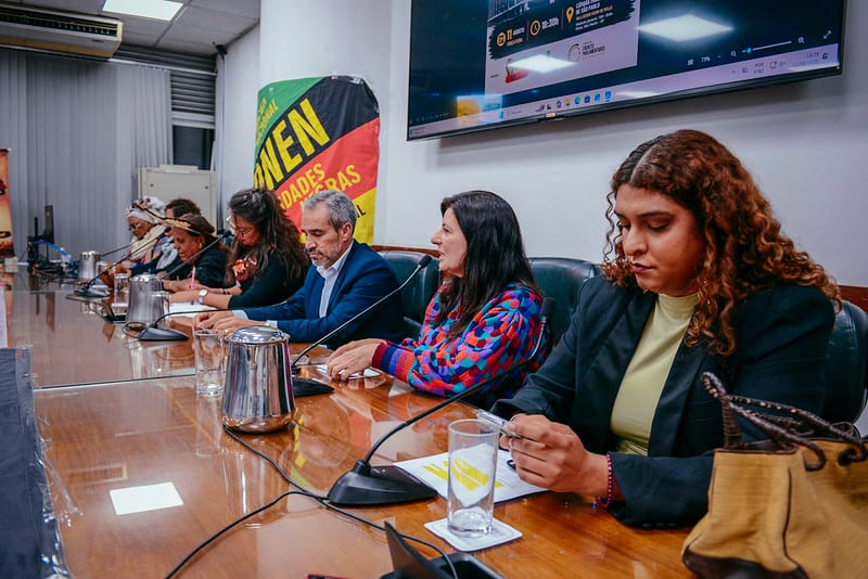 Frentes Parlamentares debatem educação antirracista na Câmara de São Paulo