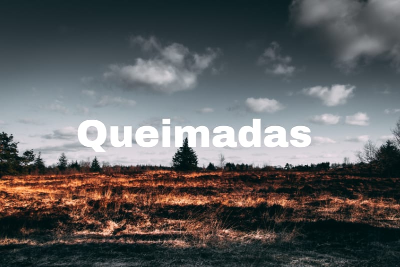 MPF recomenda reforço urgente no combate a queimadas e desmatamento no Amazonas