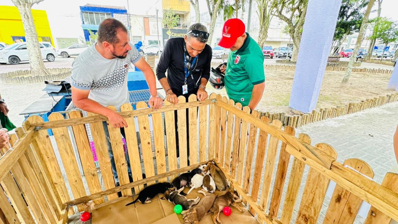 Feirinha de adoção animal já deu novo lar a 50 animais nos últimos quatro meses em Lagarto