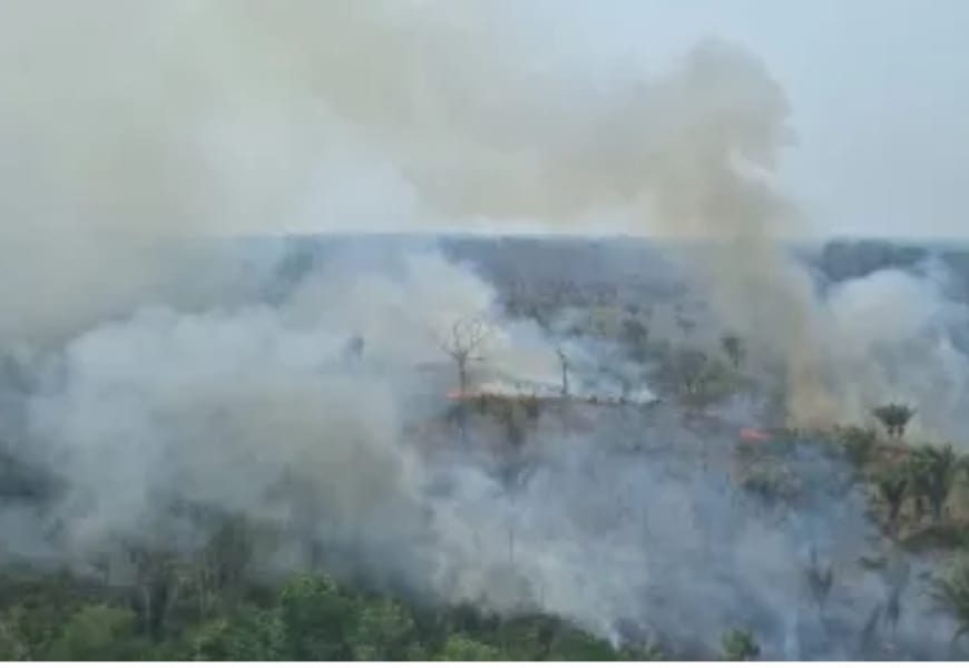 Homem é preso por incêndio; governo Lula registra queda do desmatamento