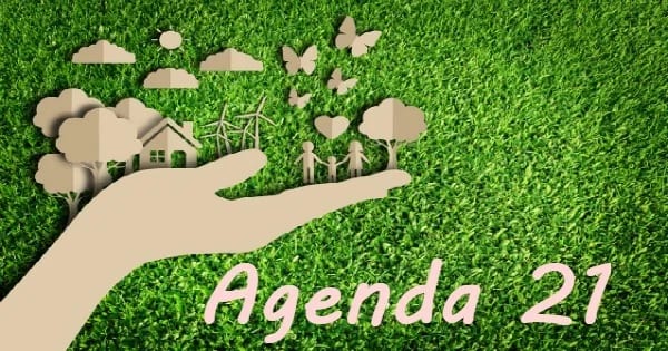 Agenda 21 de Passo Fundo completa 20 anos em 10 de julho de 2006