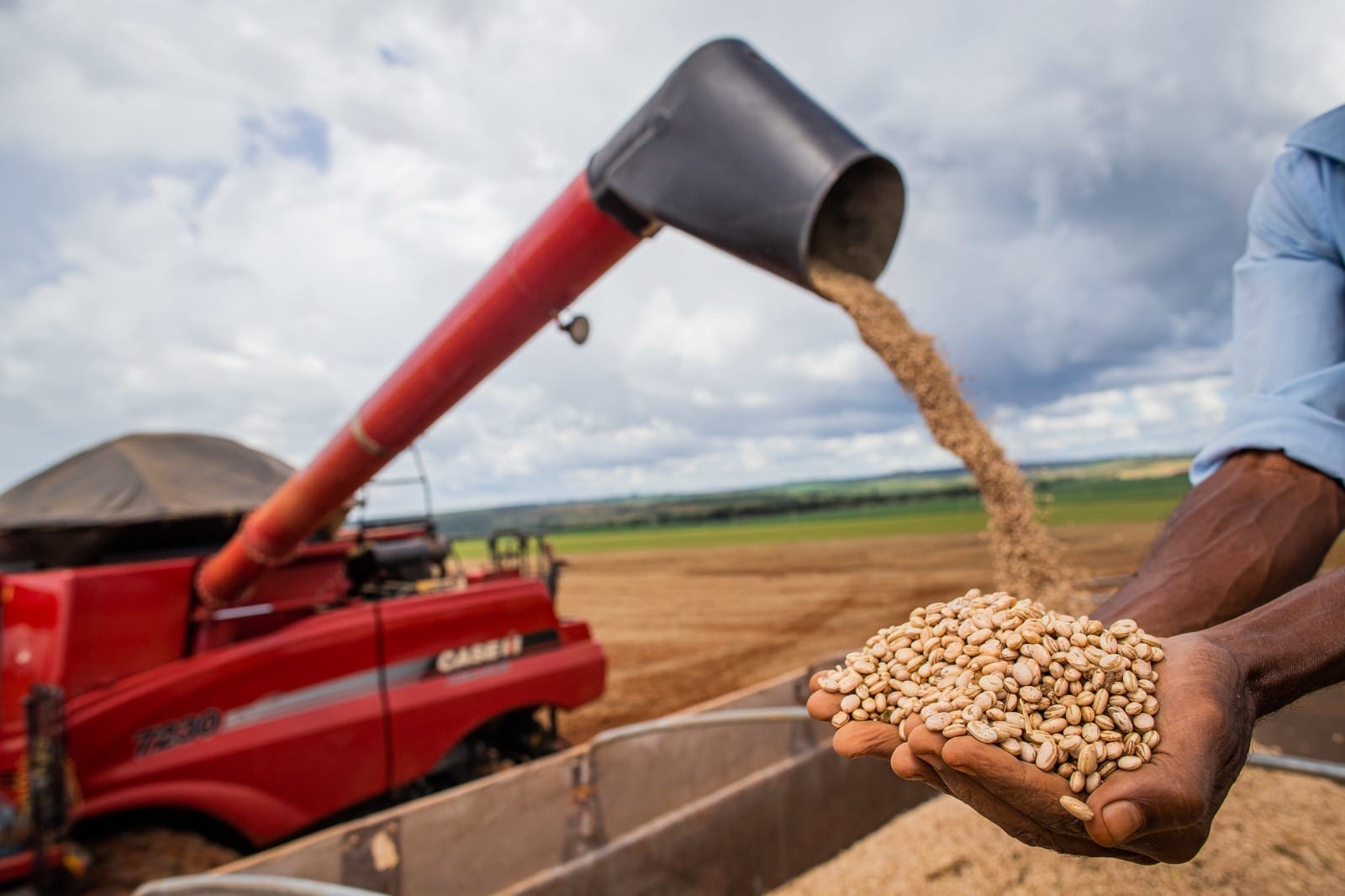 Rendimento médio no agronegócio de Goiás tem alta de 20,5%