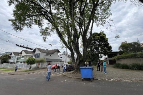 Prefeitura de Francisco Beltrão inicia avaliação de árvores de grande porte para prevenir riscos