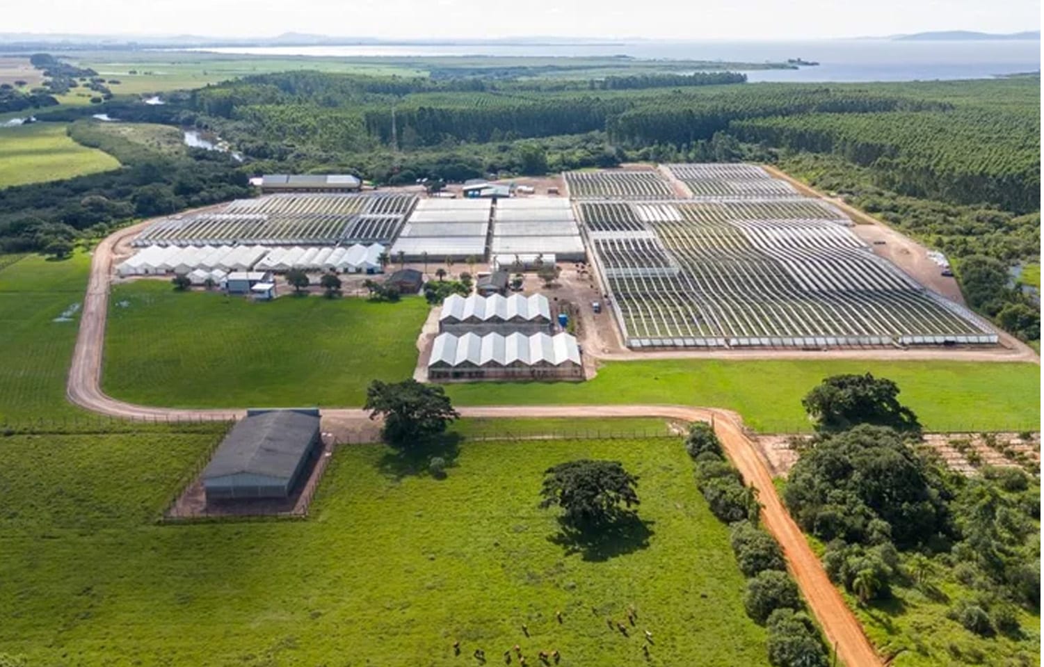 Governo do Estado entrega Licença Prévia para o Projeto Natureza, da CMPC, em Barra do Ribeiro