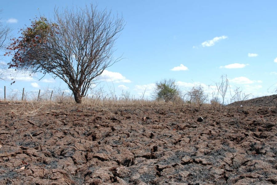 Quatro cidades da Paraíba têm situação de emergência federal por seca