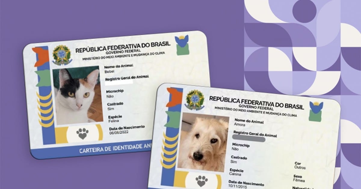 Cadastro no SinPatinhas é obrigatório para castração e vacina em Dom Pedrito