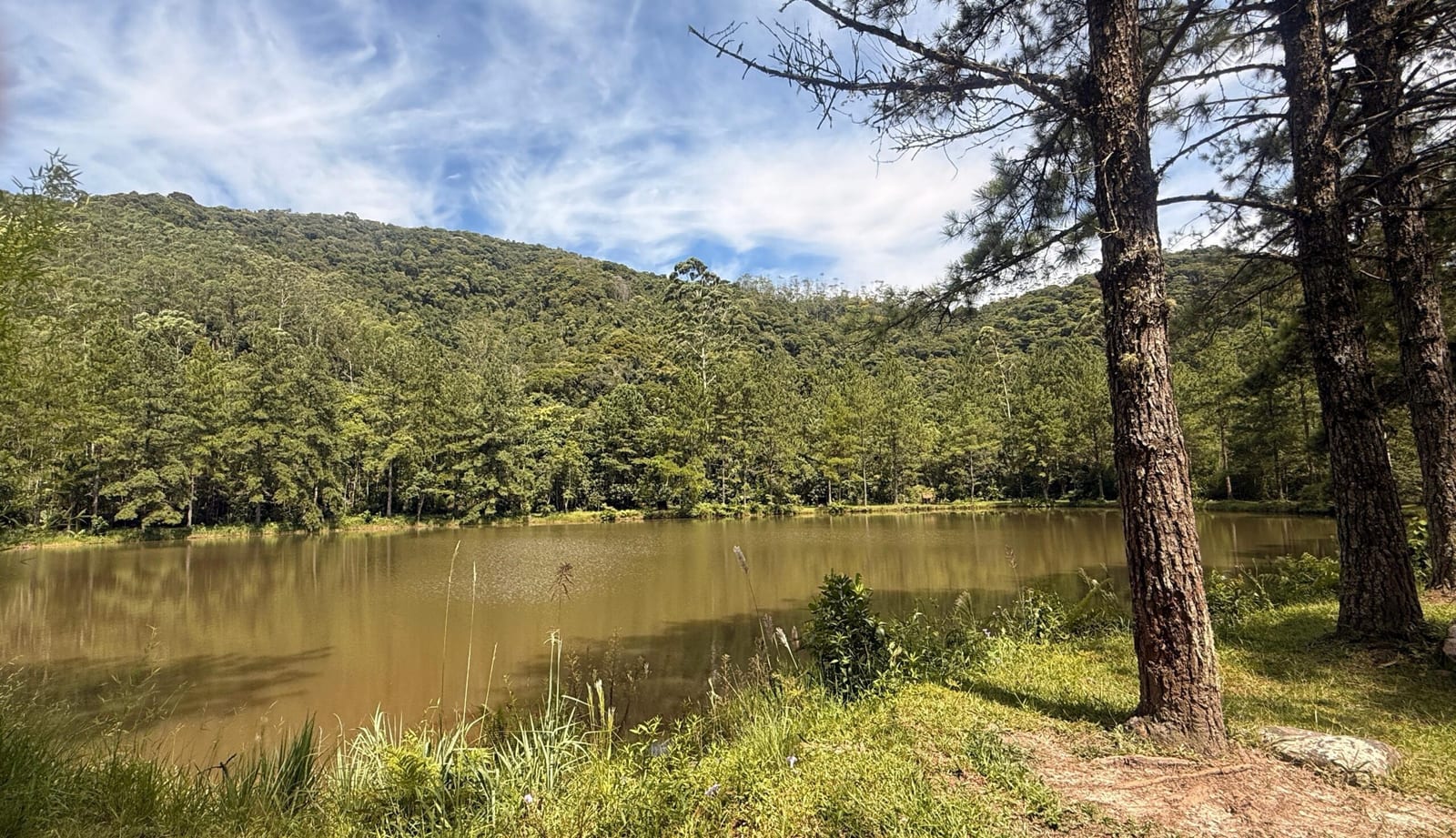 Quatinga: a história e os atrativos do distrito que mescla rural e turístico em Mogi das Cruzes