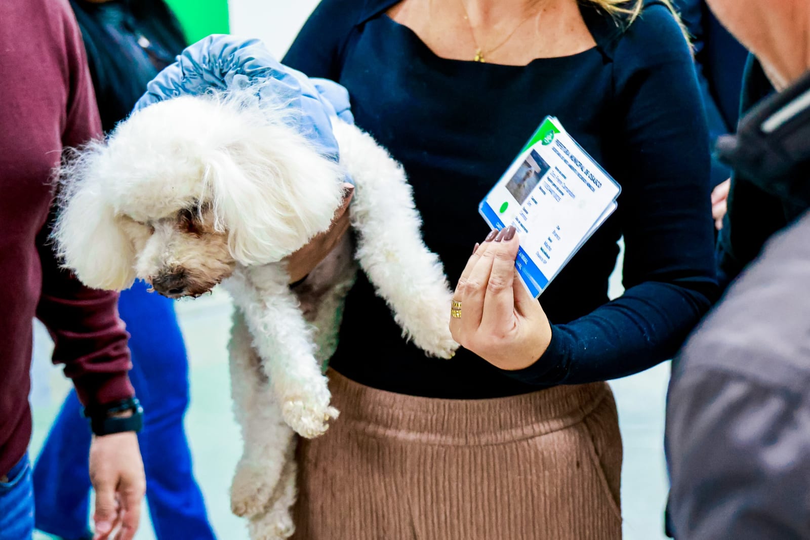 Osasco lança Censo Animal Permanente com emissão de RG para pets