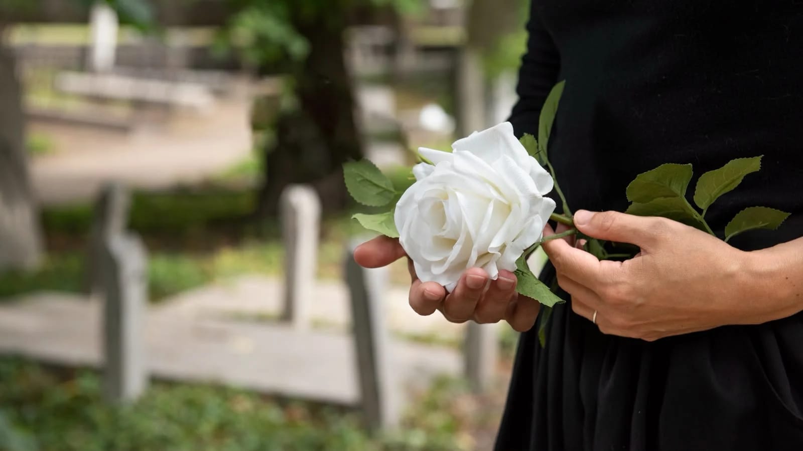 Florescer: grupo promove escuta e acolhimento a mães que enfrentam o luto