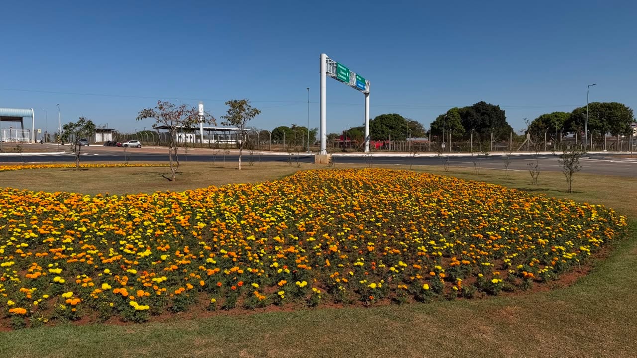 Comurg mapeia novas áreas para levar Projeto Florescer a 300 pontos até 2027
