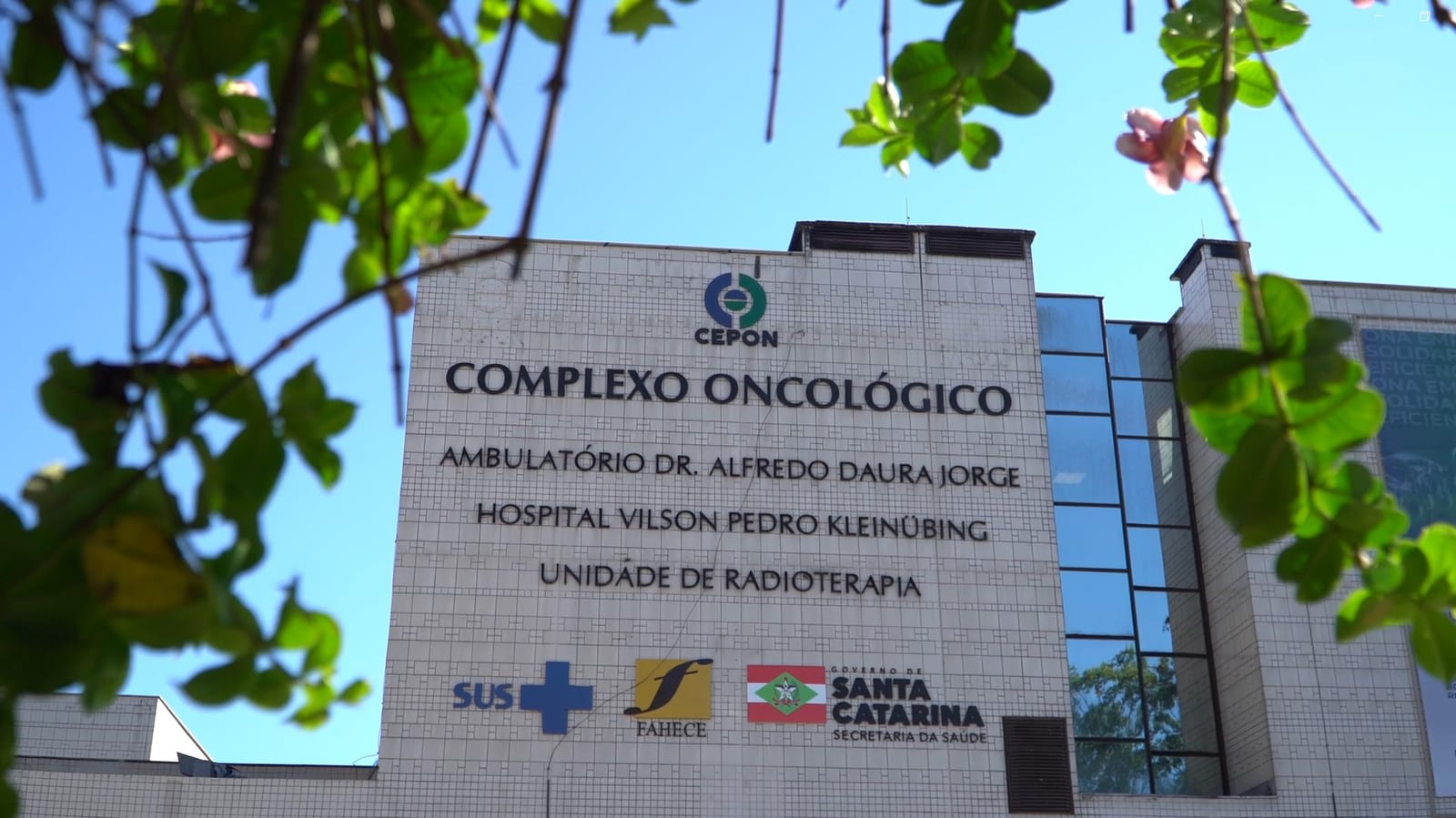 CEPON completa 52 anos com aumento de 40% nos transplantes de medula e 62 mil consultas médicas em 2026