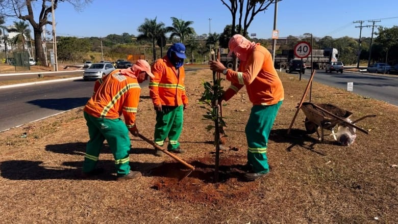 Goiânia planta mais de mil árvores em 27 dias e prepara nova etapa com 551 mudas