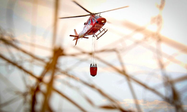 Goiás declara emergência ambiental por incêndios e proíbe queimadas até 31/10