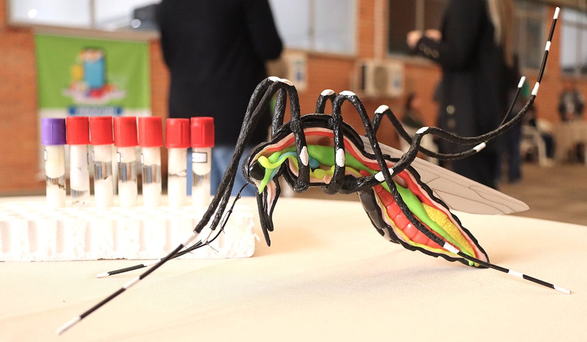 Exposição mostra o mundo dos mosquitos em Cachoeirinha