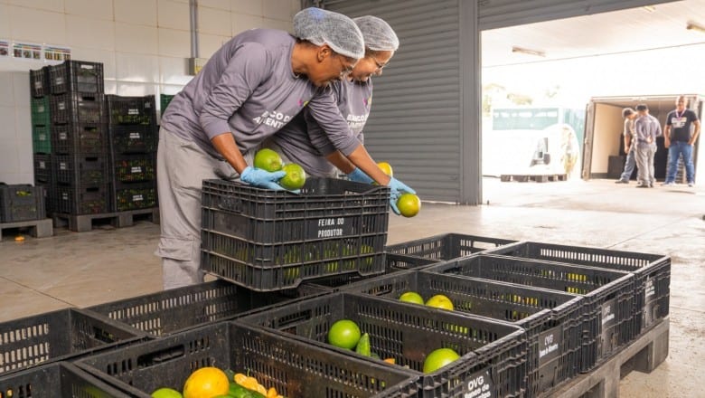 Feriado da Padroeira do Brasil: confira o que muda no funcionamento dos órgãos estaduais