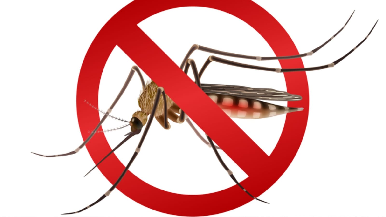 Prefeitura de Farroupilha realiza fumacê contra a dengue no bairro Primeiro de Maio nesta quarta-feira