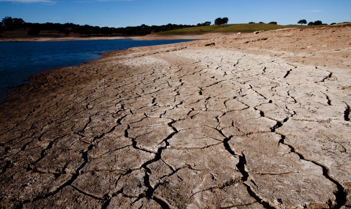 El Niño pode ser o mais intenso desde 1950 e CNI une infraestrutura e meio ambiente para prevenir desastres e prejuízos