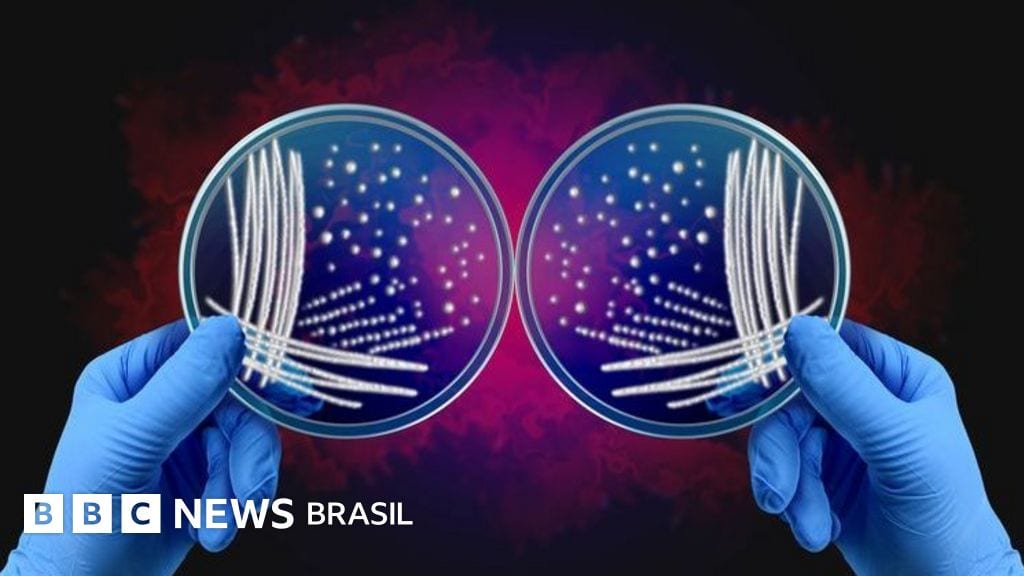 O que é o mistério da assimetria da vida que rendeu Nobel de Química a cientistas