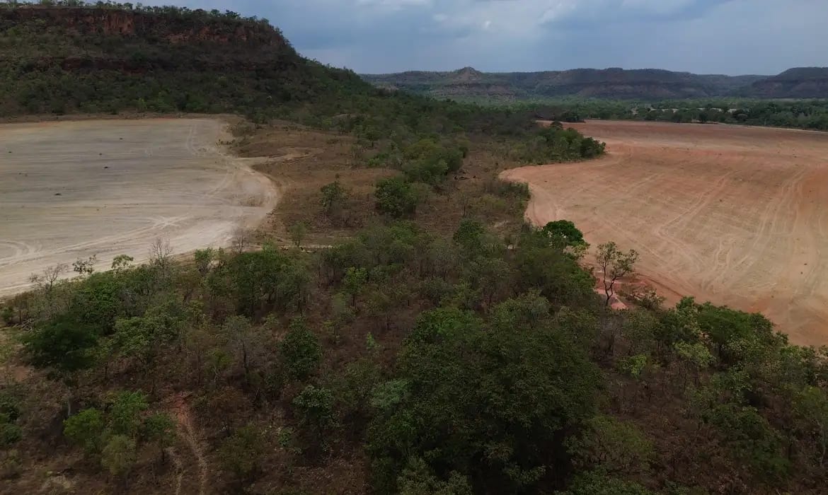 Bolsonaro promoveu parceria com o crime ambiental e seu filho quer fazer o mesmo, diz secretário do Observatório do Clim