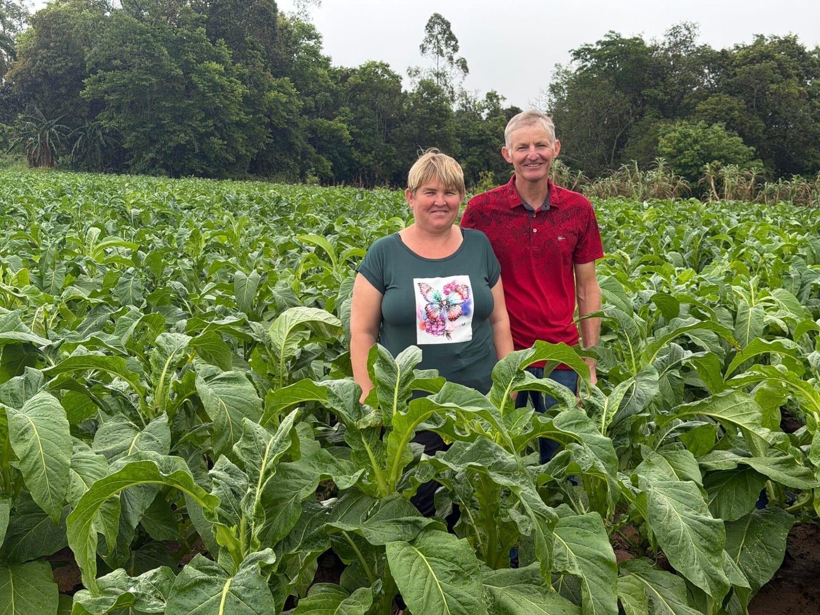 Gerações de trabalho no tabaco marca a história da família anfitriã da Abertura da Colheita
