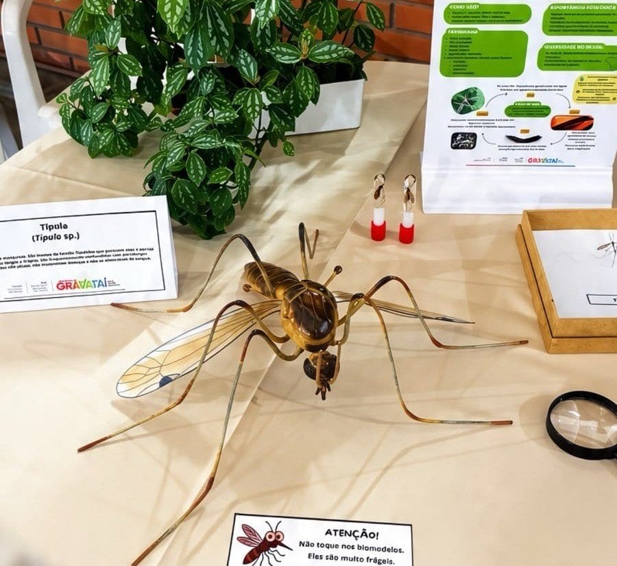 Encontro das Vigilâncias em Saúde de Cachoeirinha contará com exposição criada em Gravataí