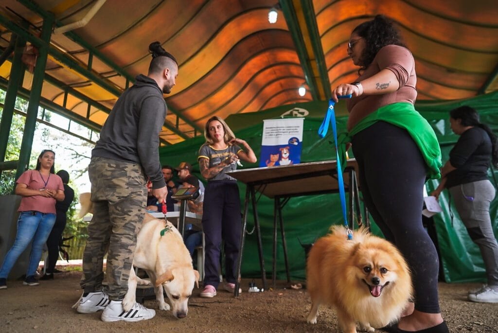 Prefeitura de Porto Alegre abrirá mais de 4 mil vagas para castração gratuita de animais