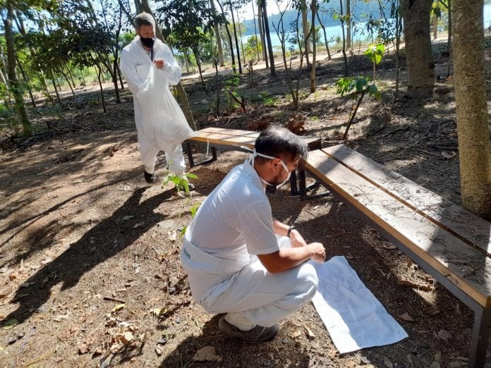 Prefeitura intensifica monitoramento de carrapatos