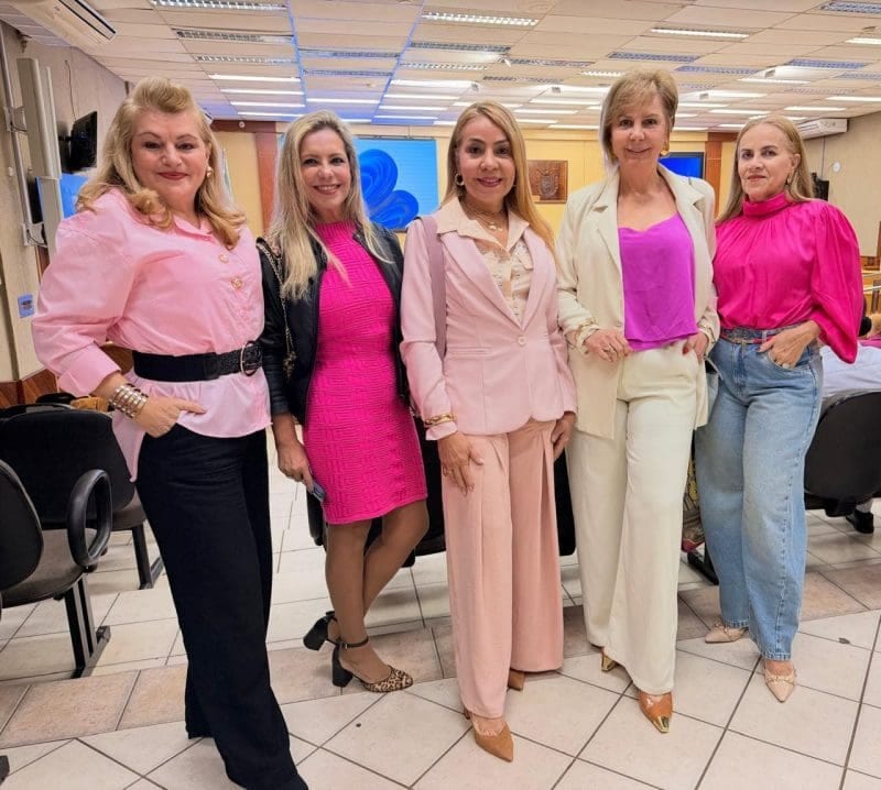 Outubro Rosa: evento na Câmara de Foz do Iguaçu mobiliza entidades públicas e privadas em defesa da saúde da mulher