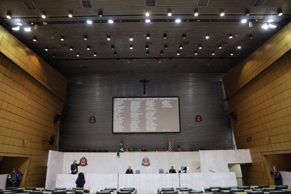 Vereadores de São Paulo que não conseguiram se eleger: Janaína, Zoe e Rubinho em destaque