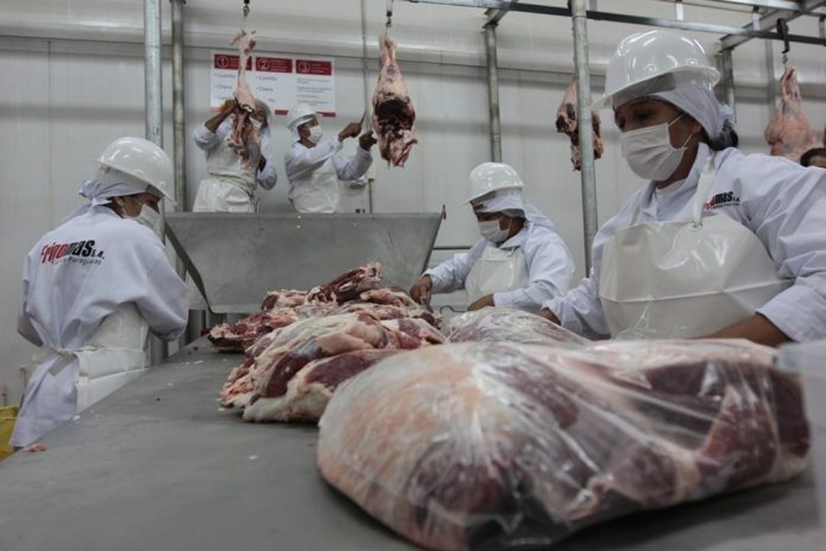 Brasil pressiona uso de antimicrobianos antes do veto europeu em 3 de setembro