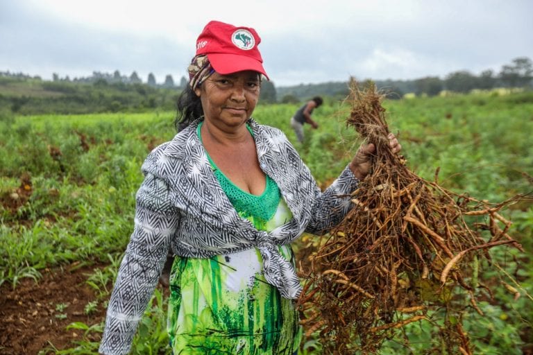 Mulheres da agroecologia exigem compromisso com combate à fome nas eleições