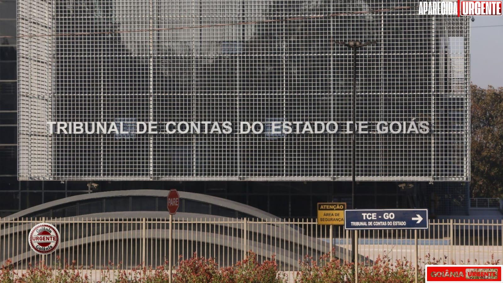 TCE cobra plano de Goiás para corrigir falhas na educação antirracista