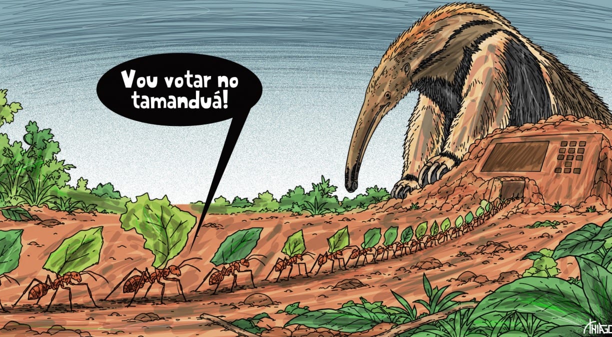 O preço da prosperidade