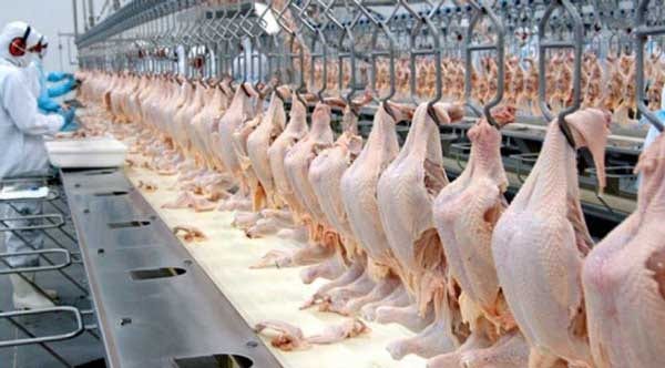 União Europeia suspende importação de carnes brasileiras por uso de antimicrobianos