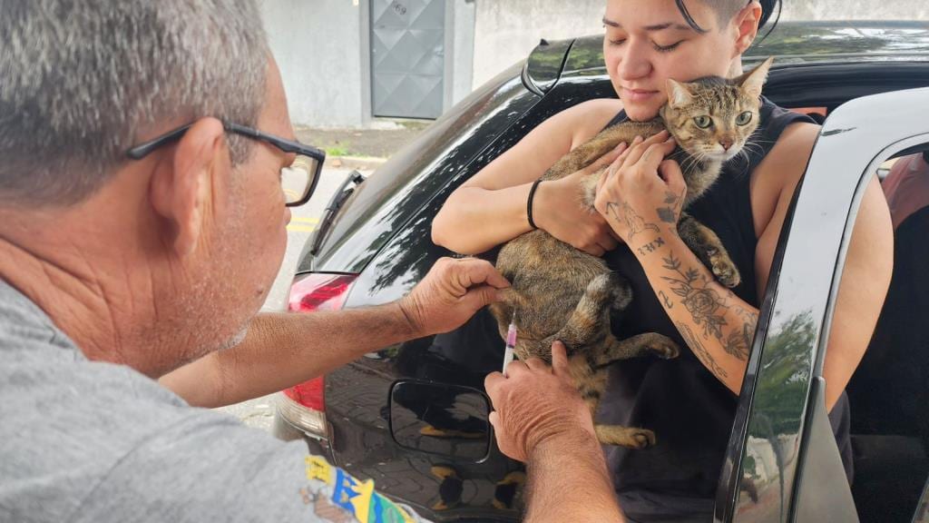 Prefeitura realiza vacinação antirrábica de cães e gatos na região da Vila São Geraldo