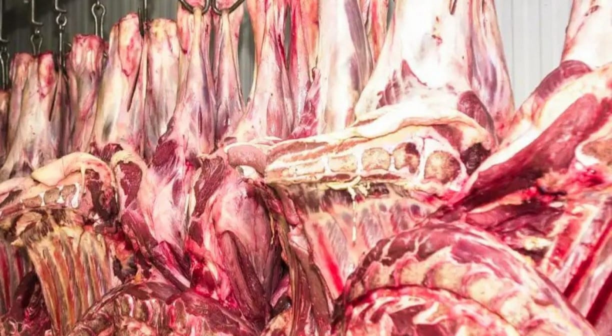 Reunião sobre cota de carne para UE termina sem acordo