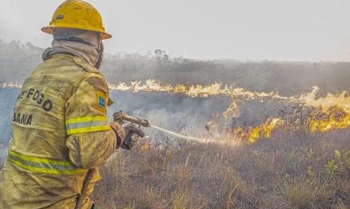 Governo investiga se há organização por trás dos incêndios no Amazonas