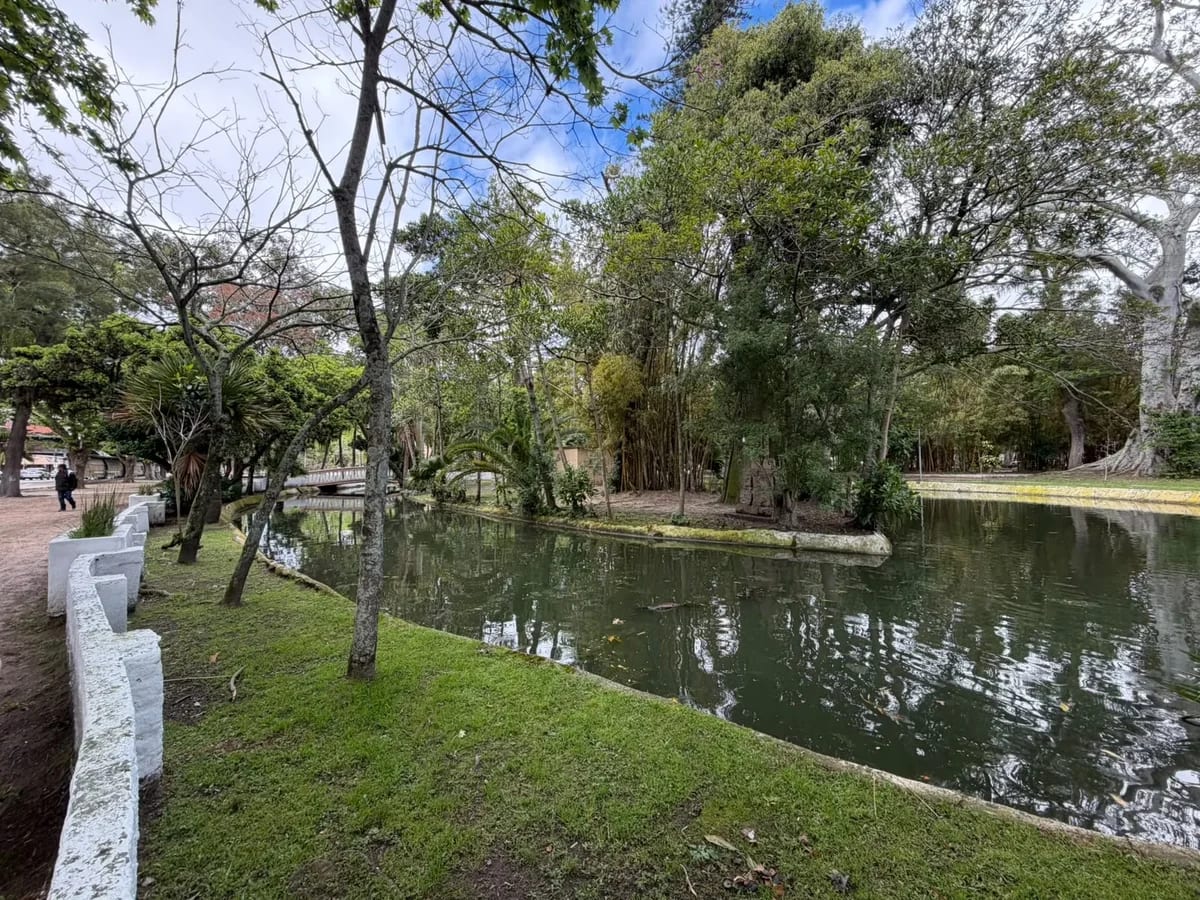 Pedalinhos da Praça Tamandaré, em Rio Grande, devem voltar a funcionar no Natal
