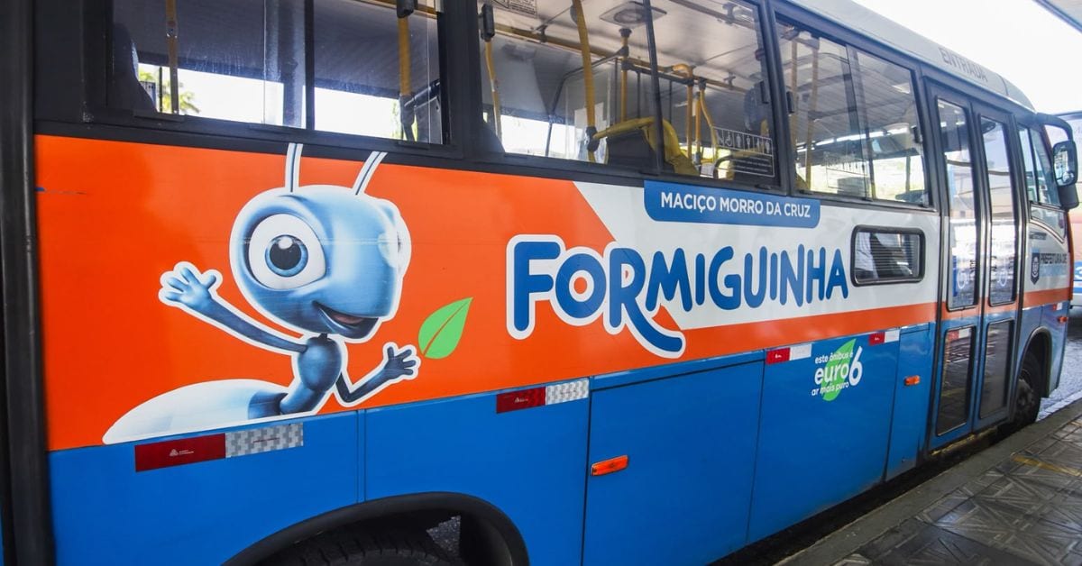 Formiguinha bate 3 milhões de acessos e muda a rotina de moradores de Florianópolis