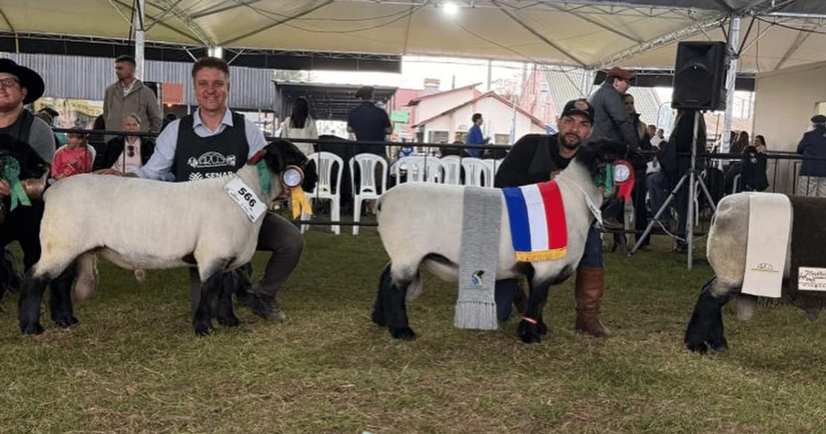 Ovinocultura da Costa Doce tem potencial de crescimento, destaca prefeito de Dom Feliciano na Expointer 2026