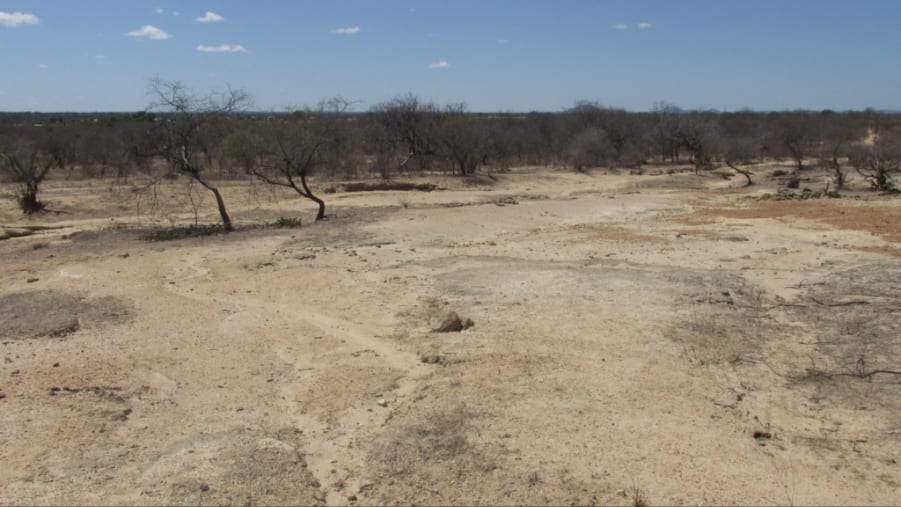 Combate à desertificação avança, mas Brasil precisa priorizar o assunto