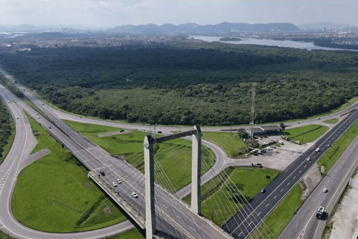 Complexo logístico pode retirar mais de 45 hectares de vegetação na Ilha do Tatu em Cubatão