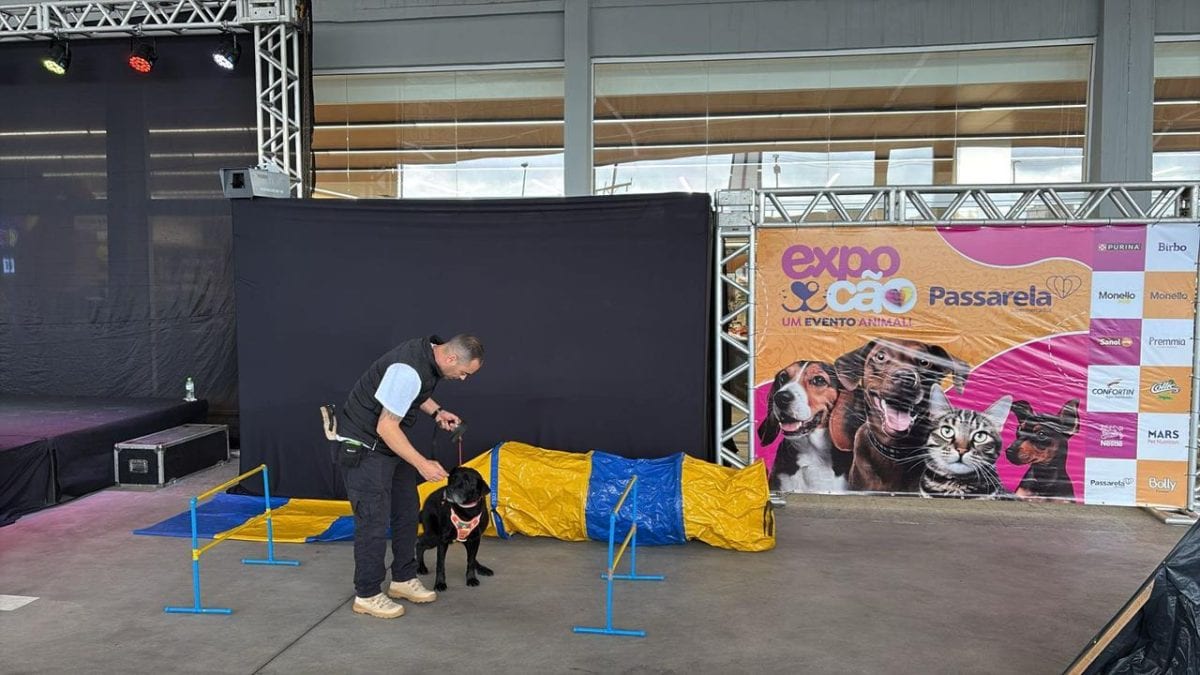 Expocão reúne famílias e promove adoção de animais em Santa Cruz
