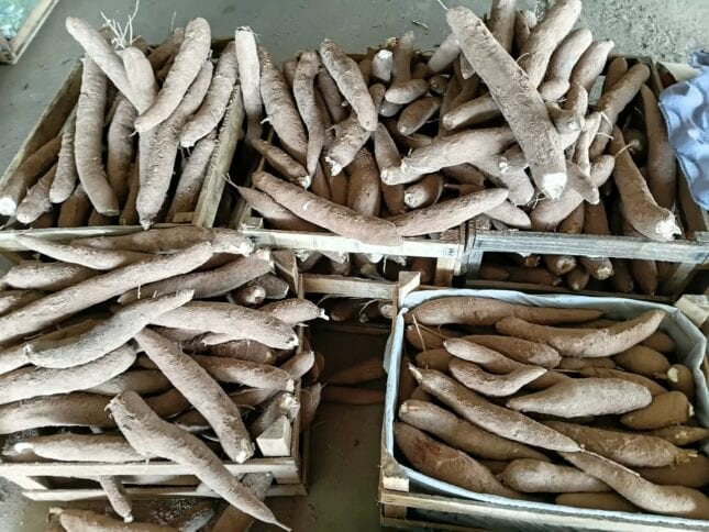 PAA distribui 576,5 kg de alimentos em Presidente Prudente