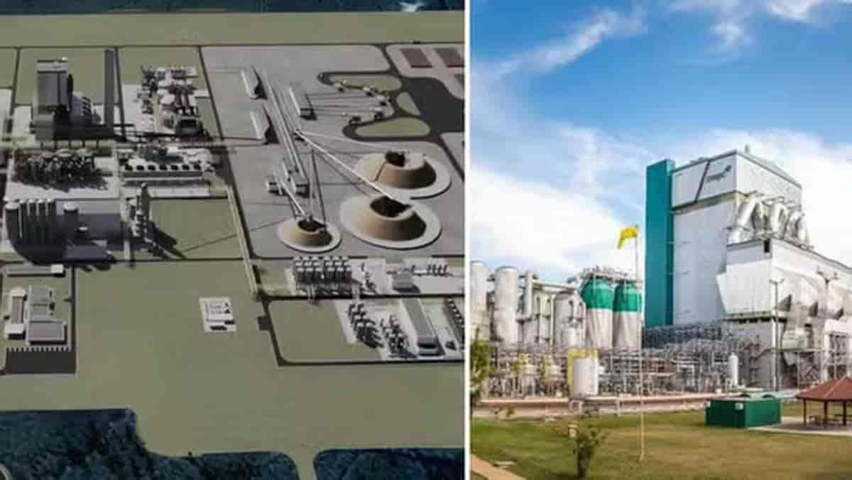 Governo do RS entrega Licença Prévia para fábrica de celulose de R$ 27 bilhões da CMPC