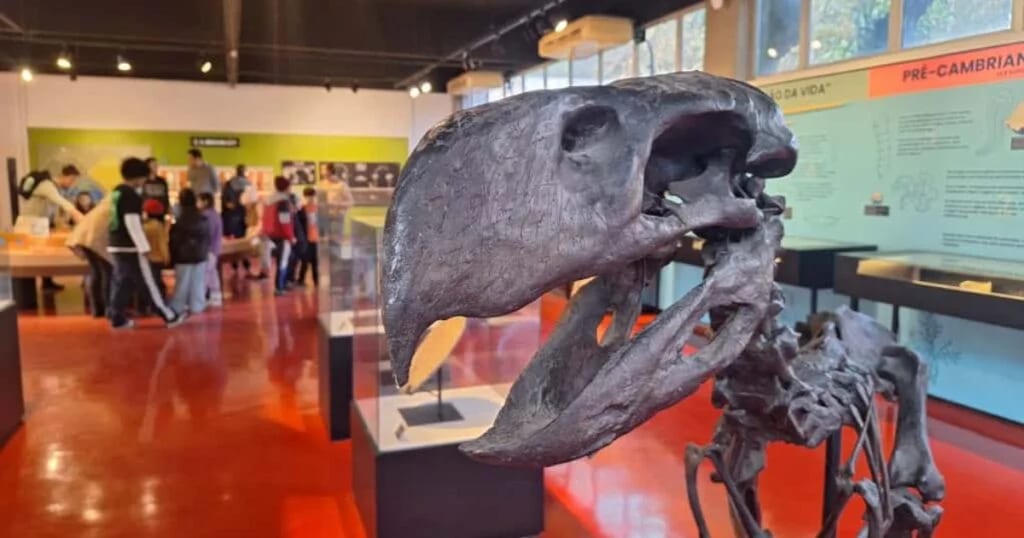 Entre ciência e diversão, museus e espaços da USP têm programação para o Dia das Crianças