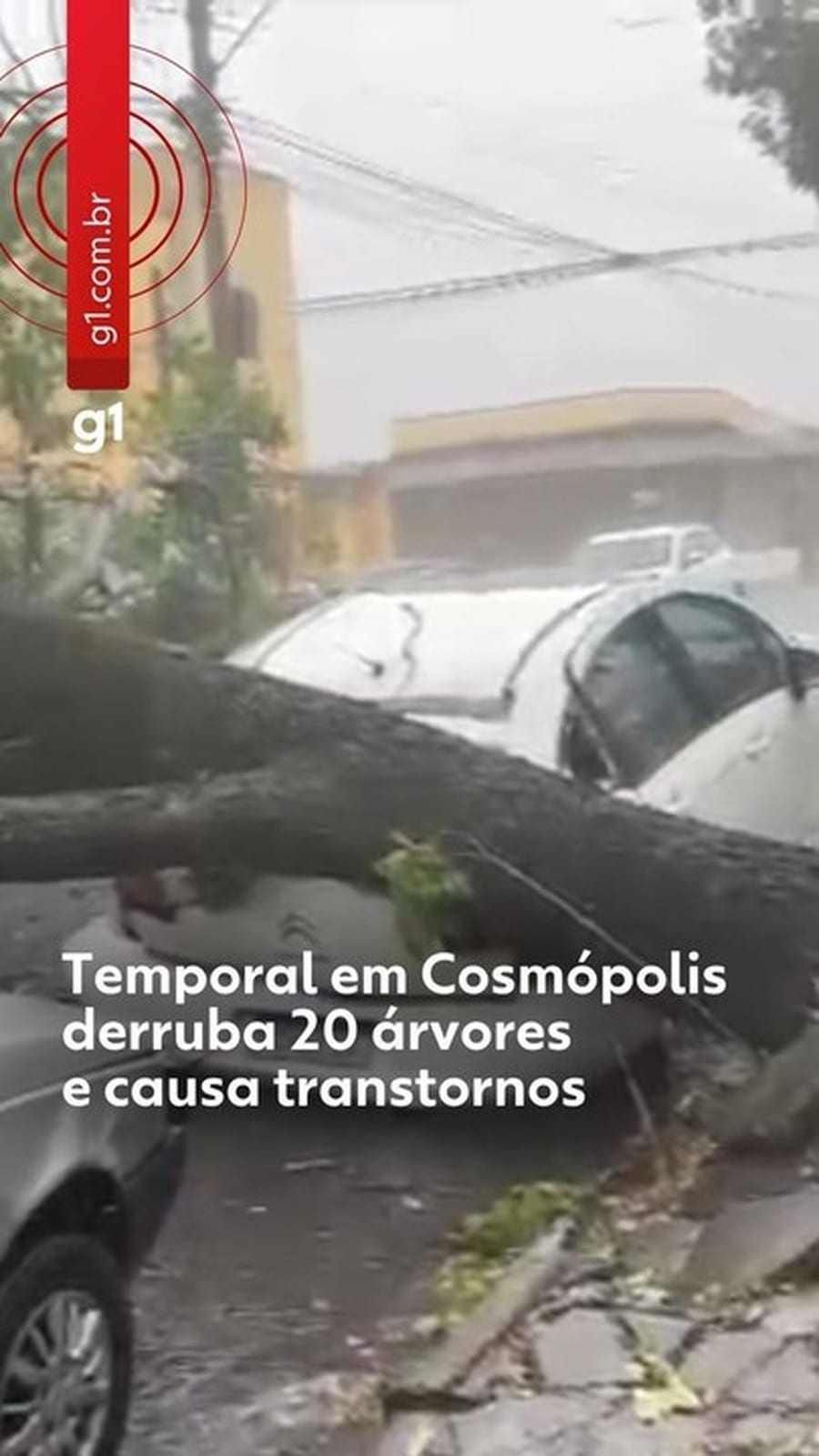Temporal derruba 20 árvores, causa falta de energia e transtornos no domingo de eleições em Cosmópolis